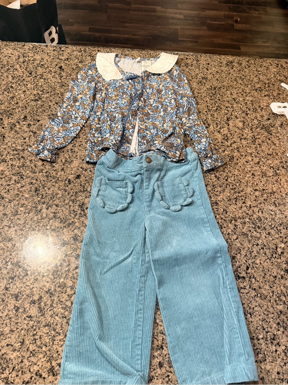 Joie Floral Top and Blue Corduroy Pants Set